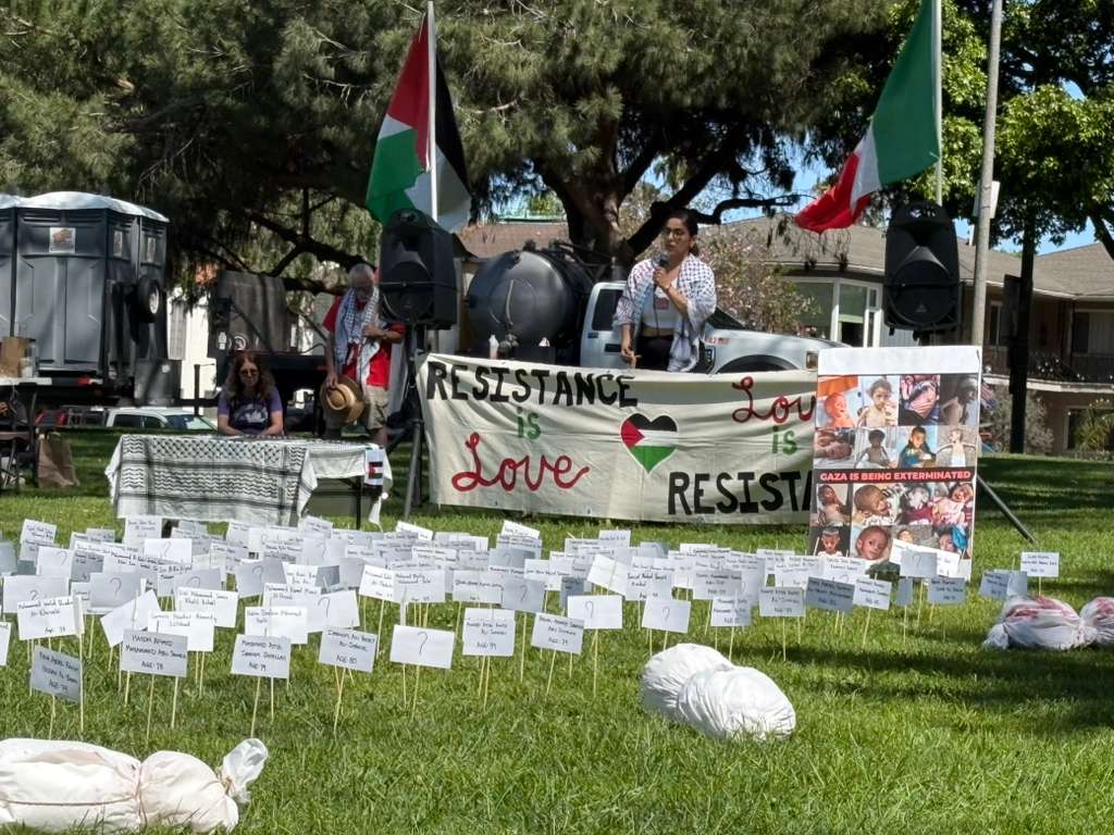 Reflections and perspectives after the No Kings Day in the United States
