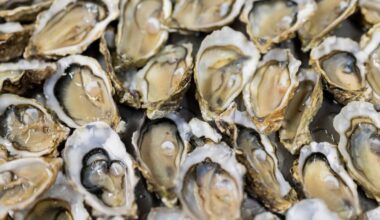 A Dangerous Bacteria Is Moving Up the East Coast. Here’s What That Means for You