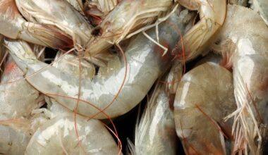 Mysterious Seafood Virus May Be Behind Emerging Eye Disease, Scientists Warn