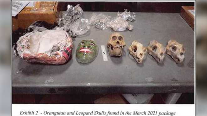 Reading wildlife trafficking arrest reading wildlife trafficking arrest