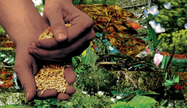 Literary Hub » On the Urgent Need to Dismantle Food Apartheid in the United States