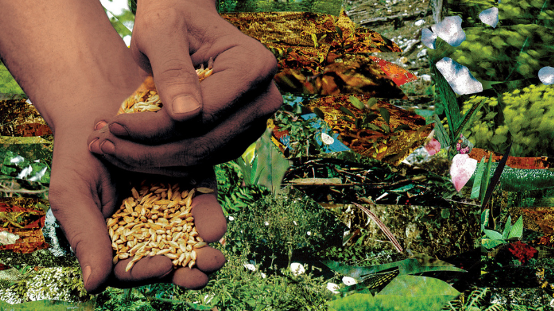 Literary Hub » On the Urgent Need to Dismantle Food Apartheid in the United States