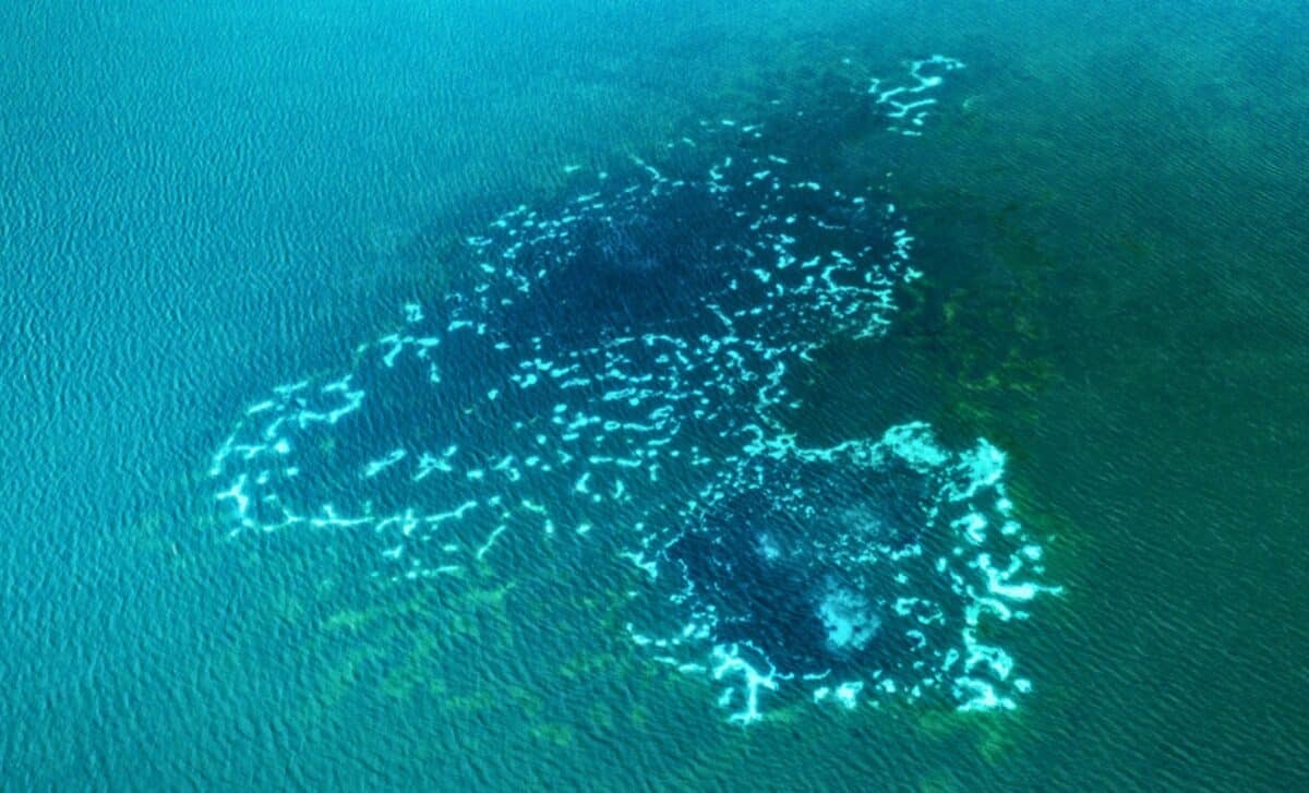 Scientists Finally Know Why The Ocean Leaks Methane