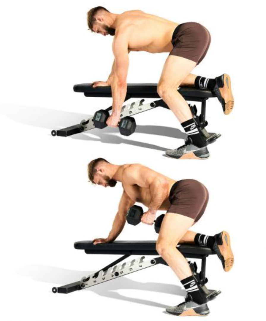 dumbbell row three point single arm dumbbell row