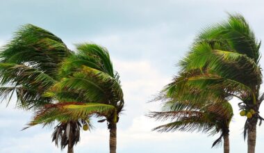 Meteorologists Sound Alarm On 'Worst El Nino In 140 Years'