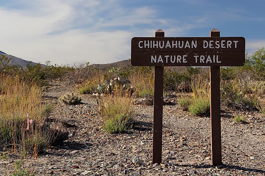 Chihuahuan Desert Nature Trail, Big Bend National Park, Texas.
