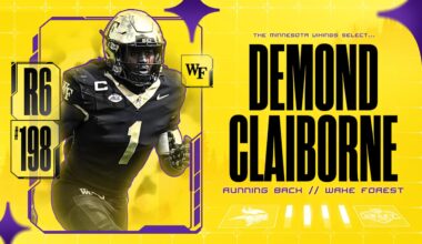 Minnesota Vikings logo