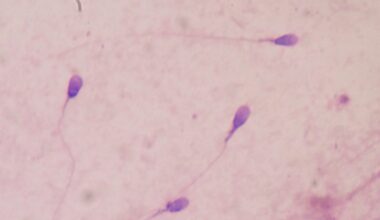Utah Startup Claims Its Lab-Grown Sperm Can Produce Embryos, in Potential Fertility Breakthrough