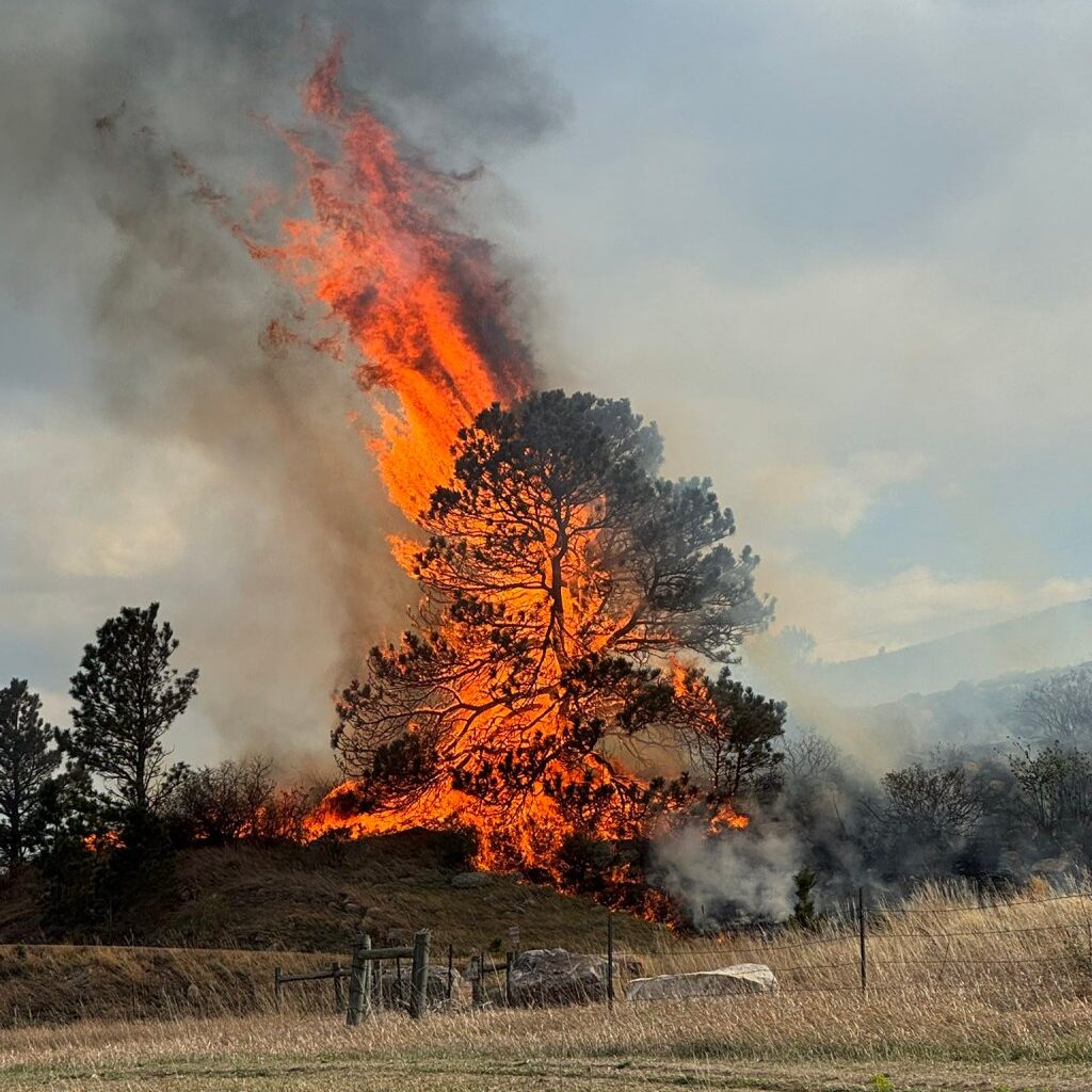 Colorado cannot afford a wildfire season ruled by ideology (Opinion)
