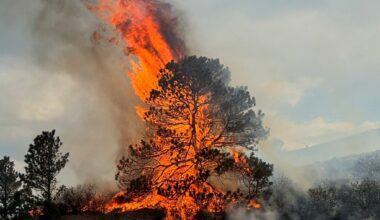 Colorado cannot afford a wildfire season ruled by ideology (Opinion)