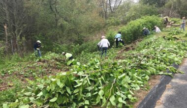 CT agency has way to fight scourge of small scale invasive plants