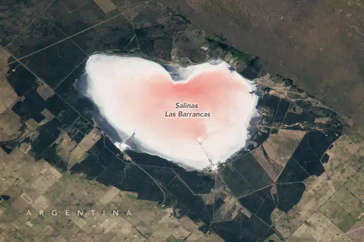The Briny Salinas Las Barrancas In Argentina