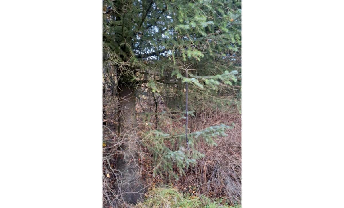 The Photo Shows The Ribbon Of Red Wine On Which The Mosquitoes Appeared