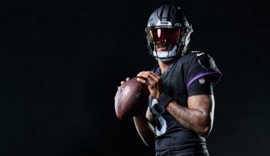 Baltimore Ravens logo