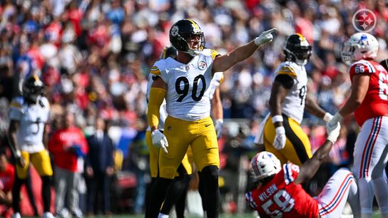 Steeles' TJ Watt