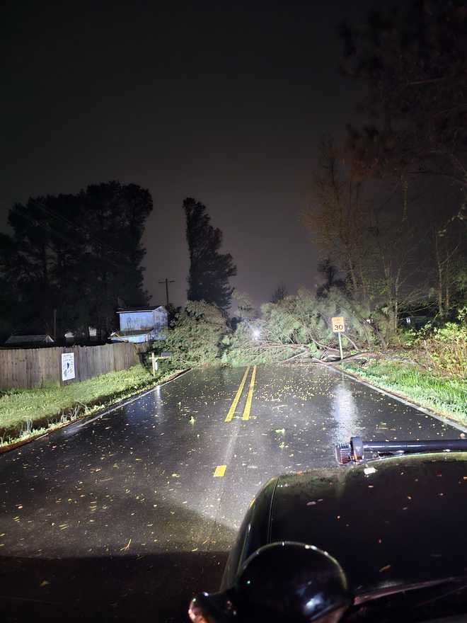 tree down across moss road and richmond road