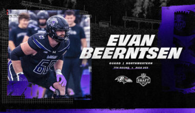 Baltimore Ravens logo