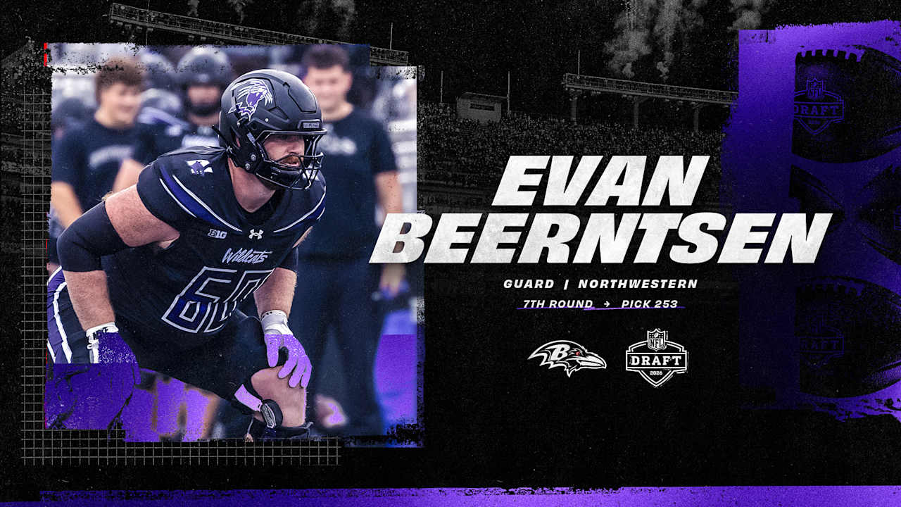 Baltimore Ravens logo