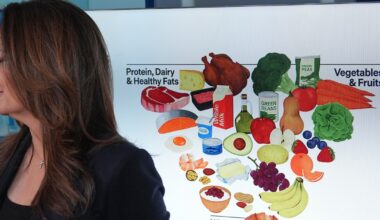 Following new USDA food pyramid would raise grocery bills by nearly one-third