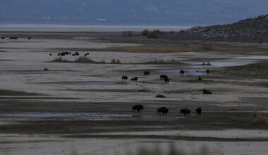 Why Trump wants to spend $1 billion on Great Salt Lake : NPR