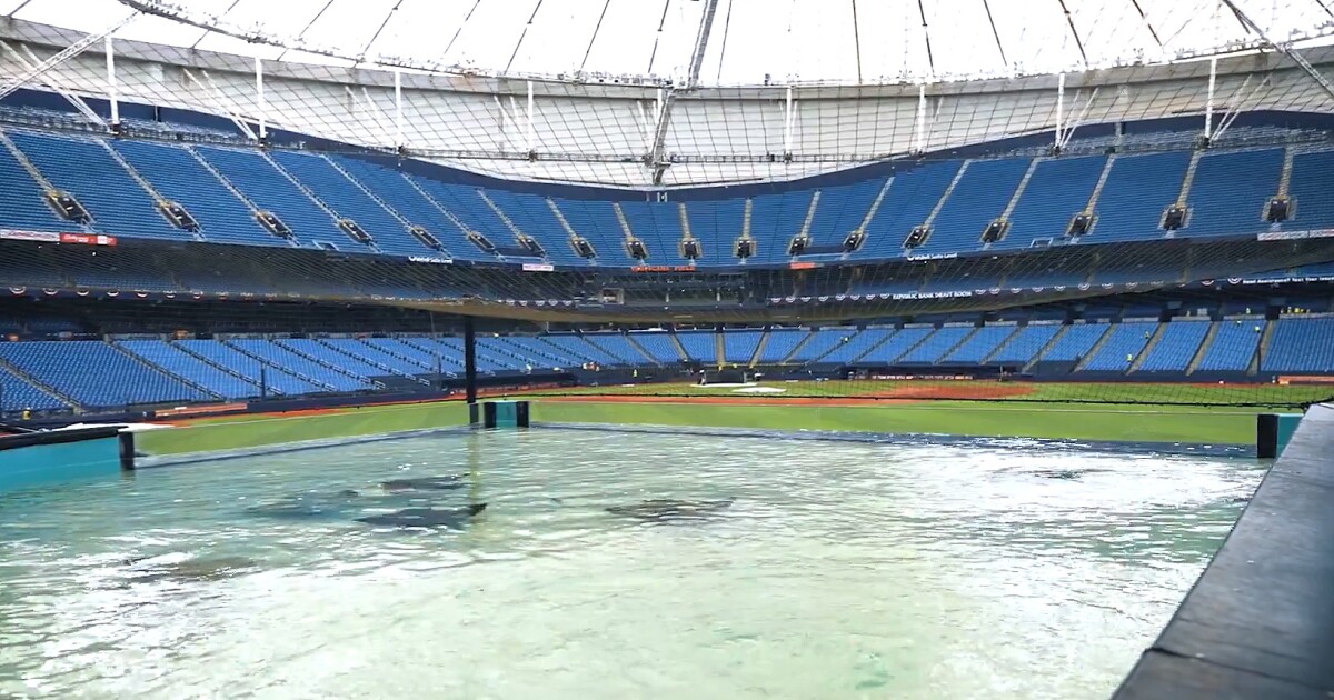 After 18 months away, the Rays embrace their return to a repaired Tropicana Field