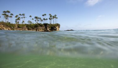 California marine protected areas have revitalized patches of ocean. Will they expand or shrink?