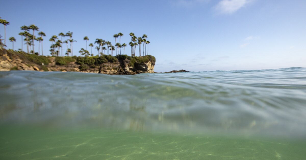 California marine protected areas have revitalized patches of ocean. Will they expand or shrink?