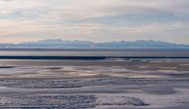 Oil and gas lease sale set for Alaska's Wildlife Refuge, amid litigation