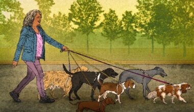 What older people have to say about becoming gig workers in retirement