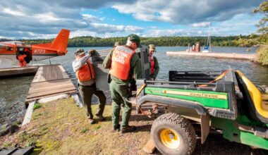 Remote Lake Superior island's wolf population is thriving