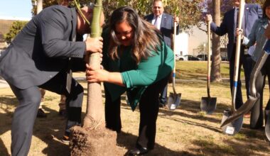 A $40-million project will clean MacArthur Lake. Will it help fix the park?