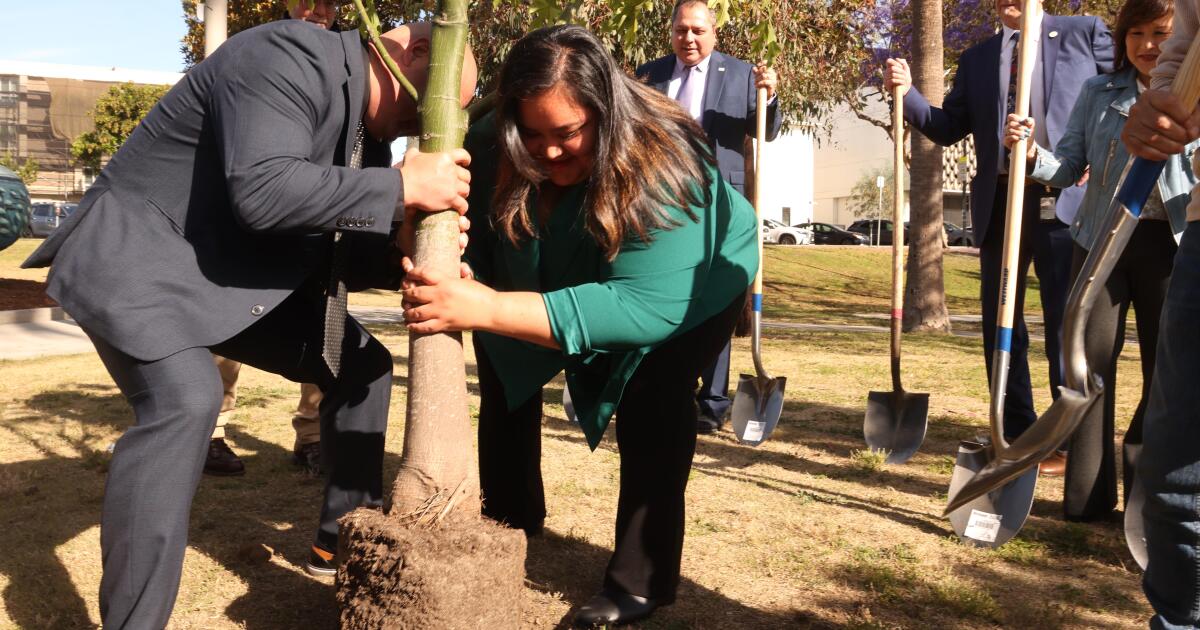 A $40-million project will clean MacArthur Lake. Will it help fix the park?