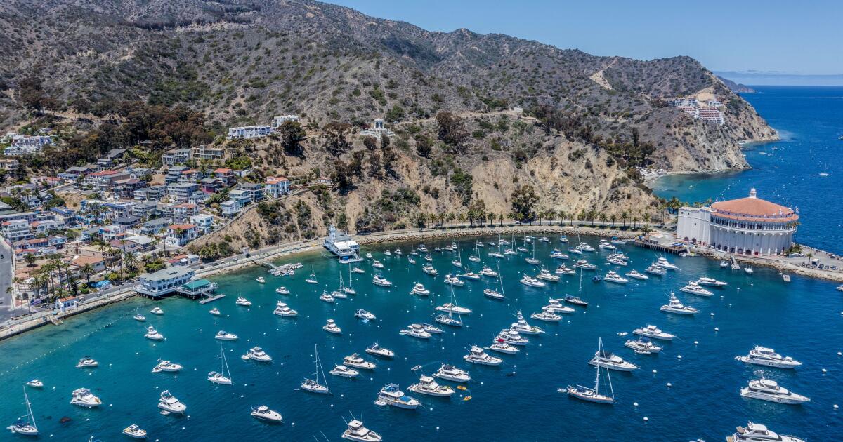 Plane crashes on Catalina; both aboard are killed, officials say
