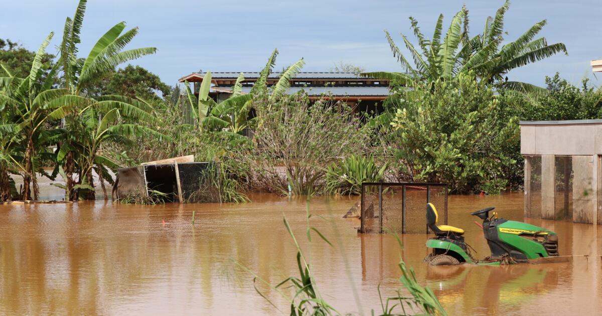 Hawaii's North Shore flooding likely diluted pesticide risk