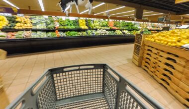 Grocery pain continues as experts point to gas prices, global tensions - InForum