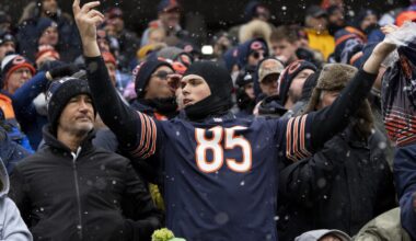 Illinois House passes bill to aid Bears stadium