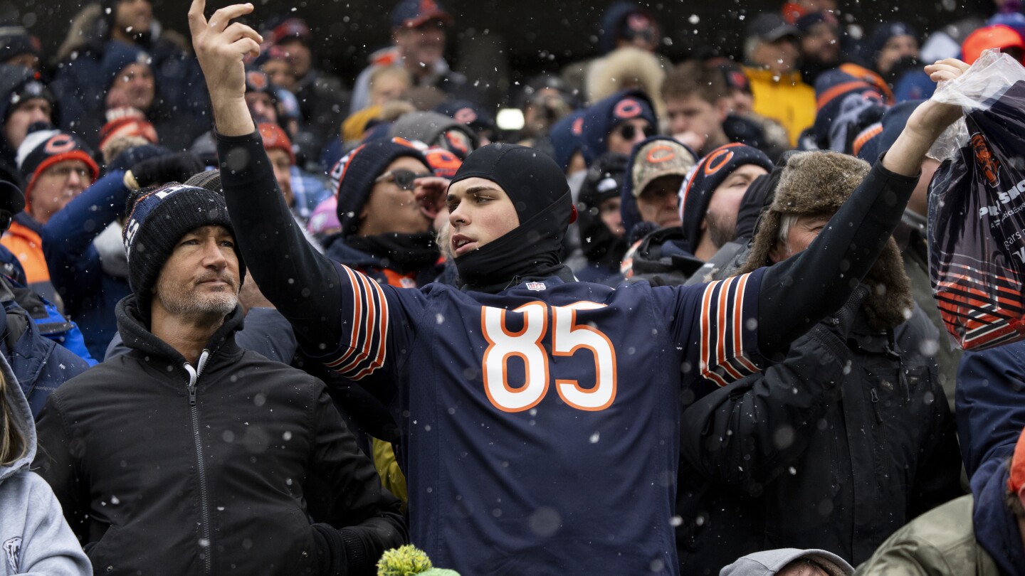 Illinois House passes bill to aid Bears stadium
