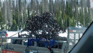 Durango sculpture being repaired by original artist