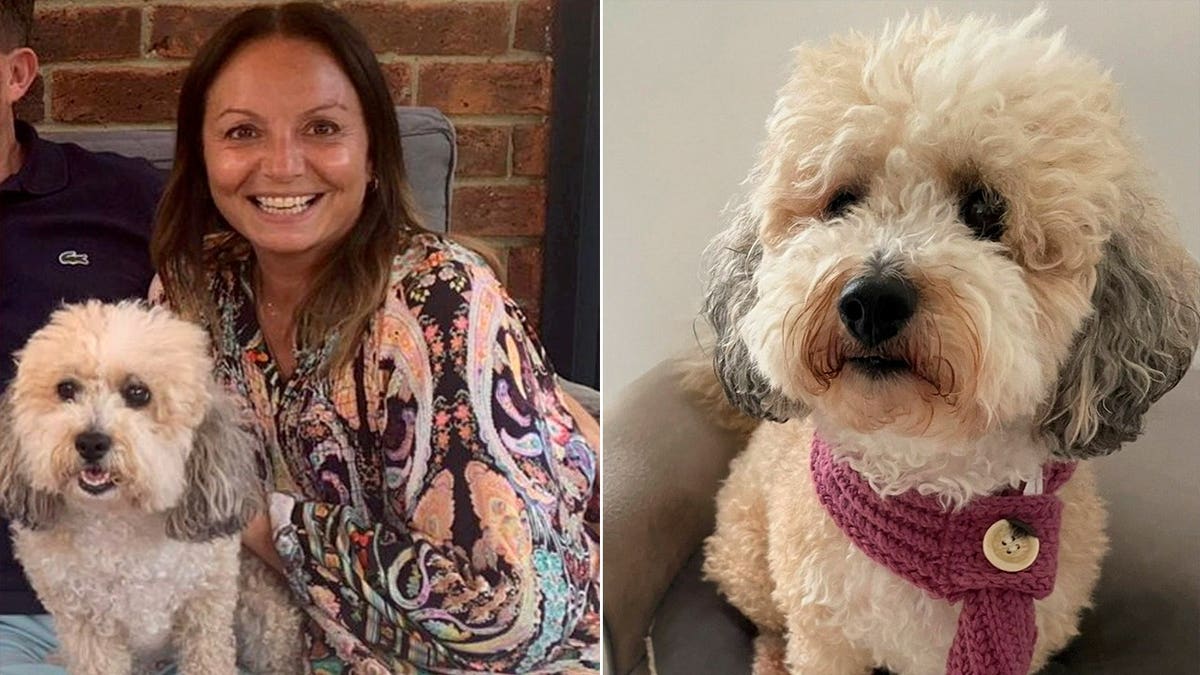 Vickie Doogan sits with her small poochon dog, Dolly, who supported her through breast cancer treatment.