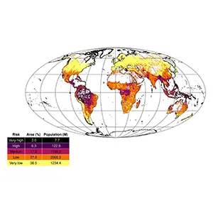 Risk of the WHO priority diseases, bias adjusted. The map displays the risk levels across different regions, with white areas indicating insufficient data for one or more predictor layers. Credit: Science Advances
