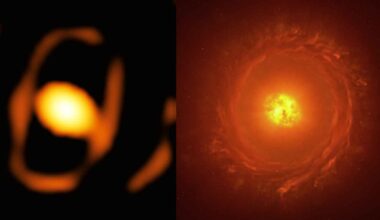 Side-by-side view of WOH G64 showing a blurred central star and a larger illustration of the massive star surrounded by a thick cocoon of gas and dust.