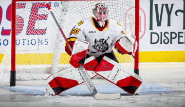 Canes Assign Kochetkov To Chicago