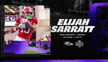 Baltimore Ravens logo