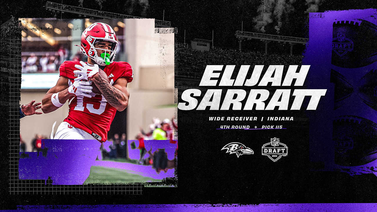 Baltimore Ravens logo