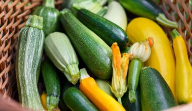 The Difference Between Zucchini Vs. Summer Squash, According to Dietitian