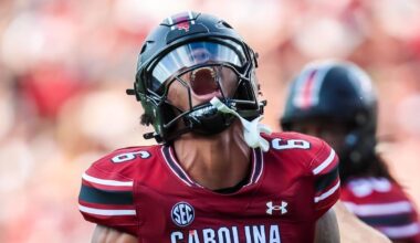South Carolina Gamecocks edge Dylan Stewart celebrates after a sack.