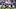 Florida linebacker Aaron Chiles pushes Texas quarterback Arch Manning out of bounds. Florida linebacker Aaron Chiles pushes Texas quarterback Arch Manning out of bounds.