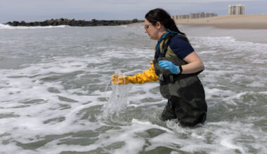 Testing the Water: Meet the Team Who Checks NYC’s Beaches For Sewage