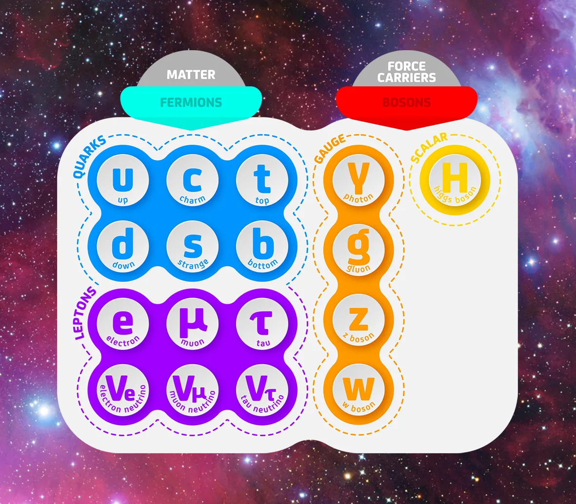 A diagram showing the difference between matter and force carrying particles