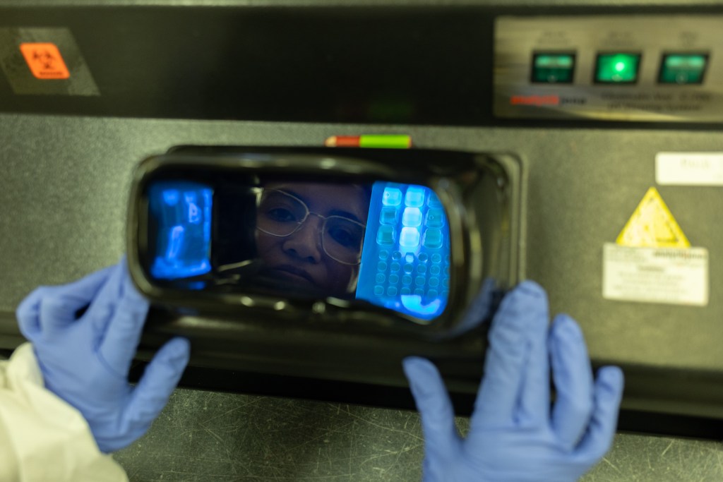 Department of Health Water Microbiology Lab Supervisor Valeria Cevallos looks over positive test samples,